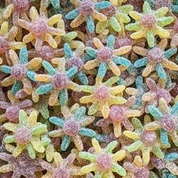 JAKE OCTOPUS pieuvre acidulée (100g)